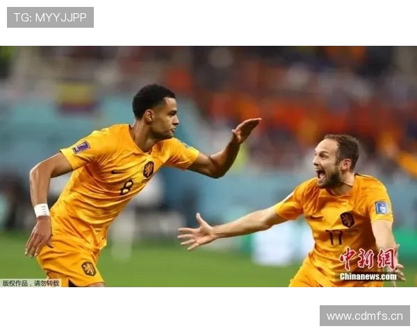 荷兰加克波进球